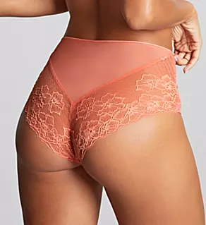 Envy Deep Brief Panty Terracota M
