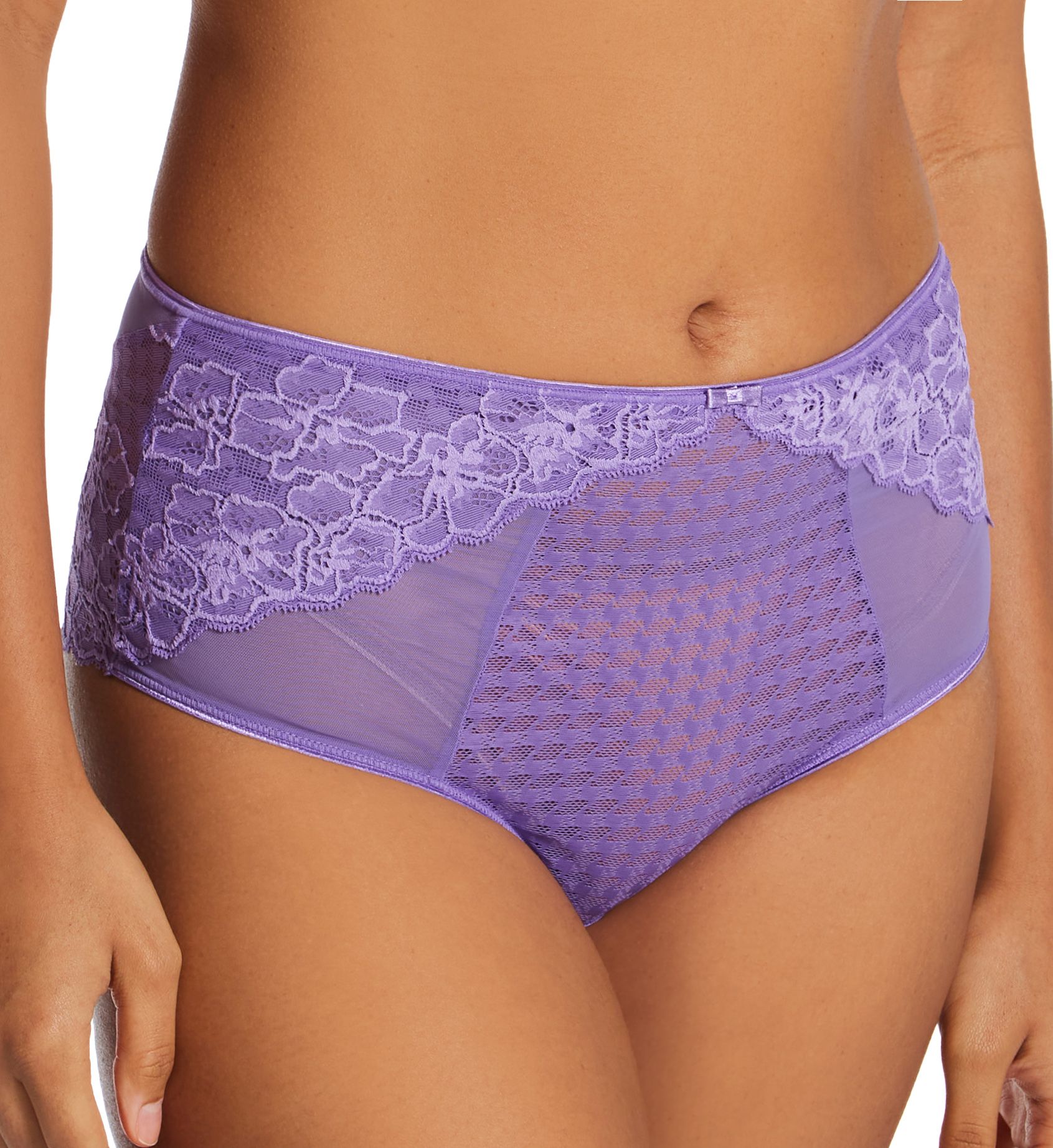 Panache Envy Deep Brief Panty Violet XS  - Image 1