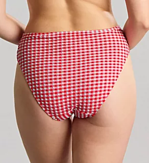 Gingham Midi Brief Swim Bottom Red Gingham 2X