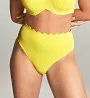 Panache Spirit High Waist Brief Bikini Bottom SW1825