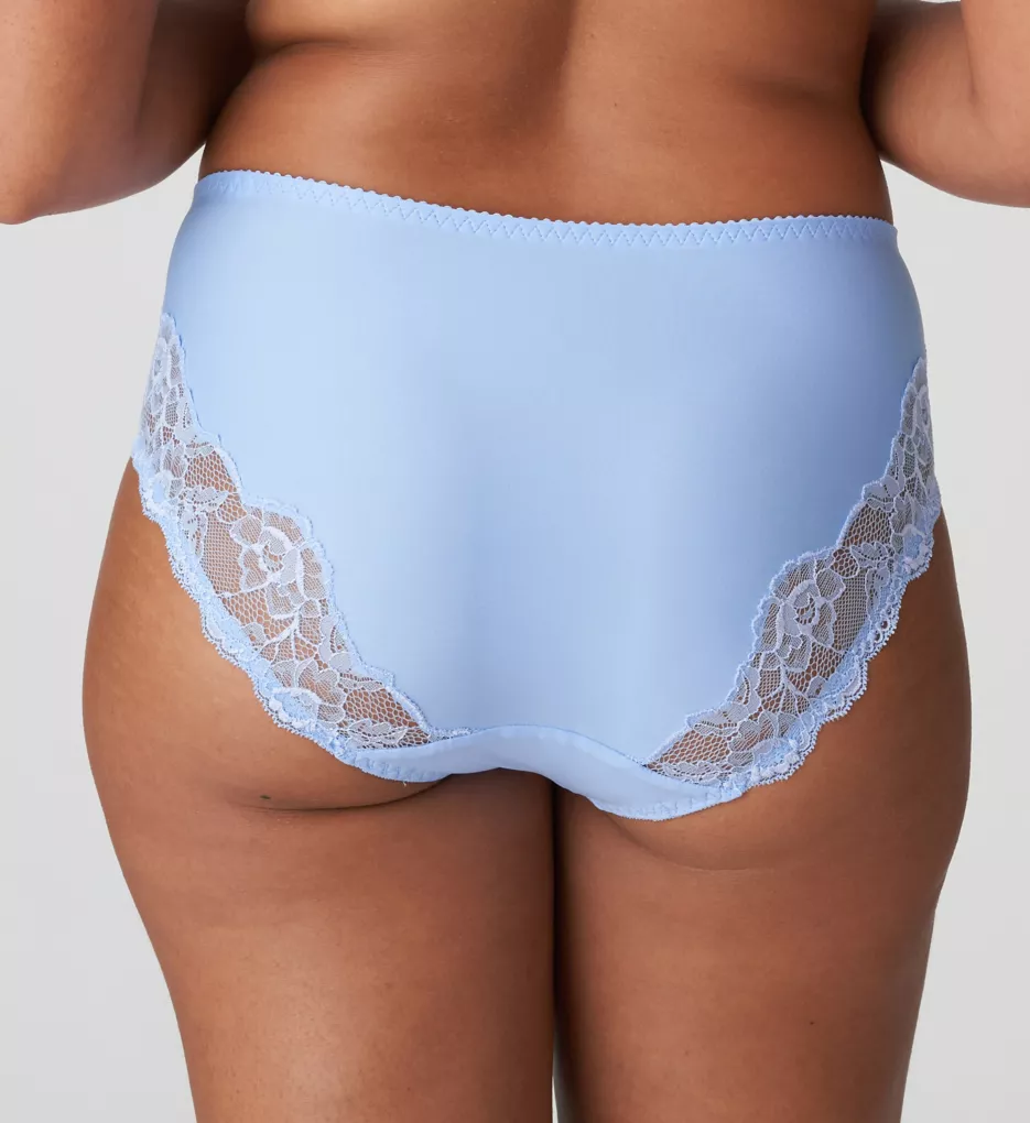 Madison Lace Trim Full Brief Panty Open Air 3X