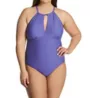 Raisins Curve Plus Size Calina Solids Catania One Piece Swimsuit G840082 - Image 1