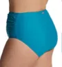 Raisins Curve Plus Size Atlantic Solids Costa Swim Bottom J840061 - Image 2