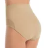 Rhonda Shear Mesh Insert Brief Panty 4010 - Image 2