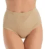 Rhonda Shear Mesh Insert Brief Panty 4010 - Image 1