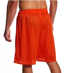 Nylon Tricot Mesh Short BrtOrg S