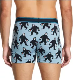 Daytripper Boxer Brief With Fly