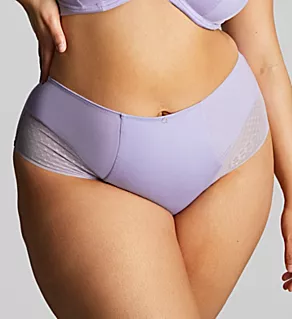 Bliss Deep Brief Panty Lilac 4X