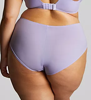 Bliss Deep Brief Panty Lilac 4X