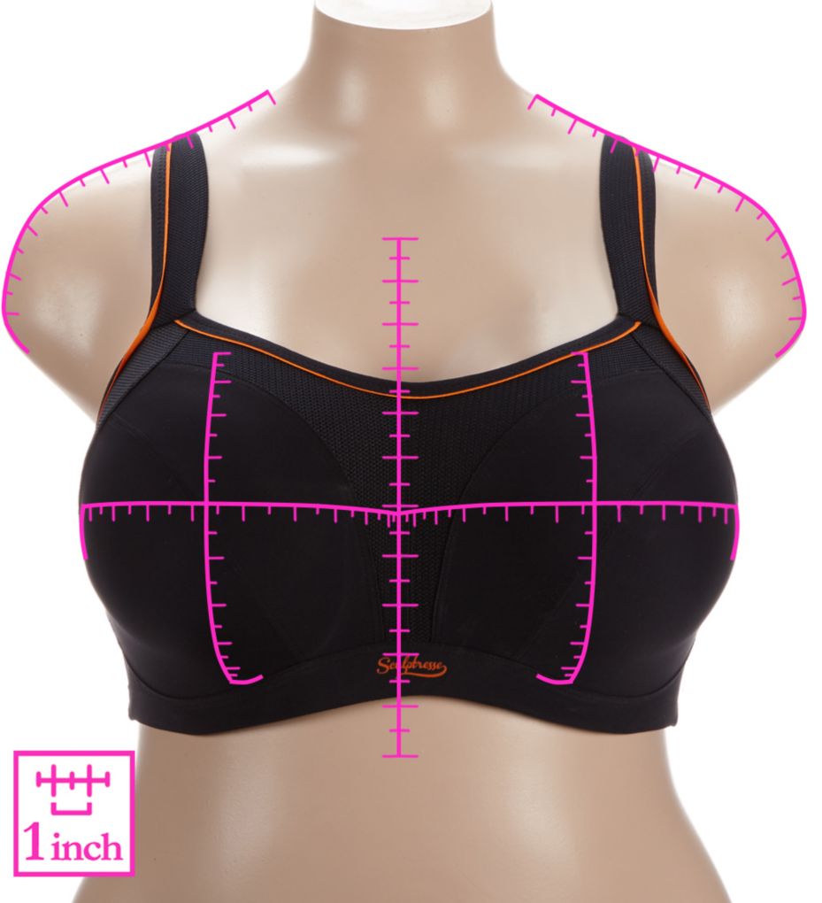 panache sculptresse sports bra