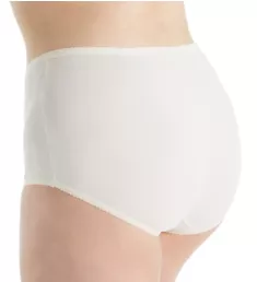 Plus Size Spandex Modern Brief Panty