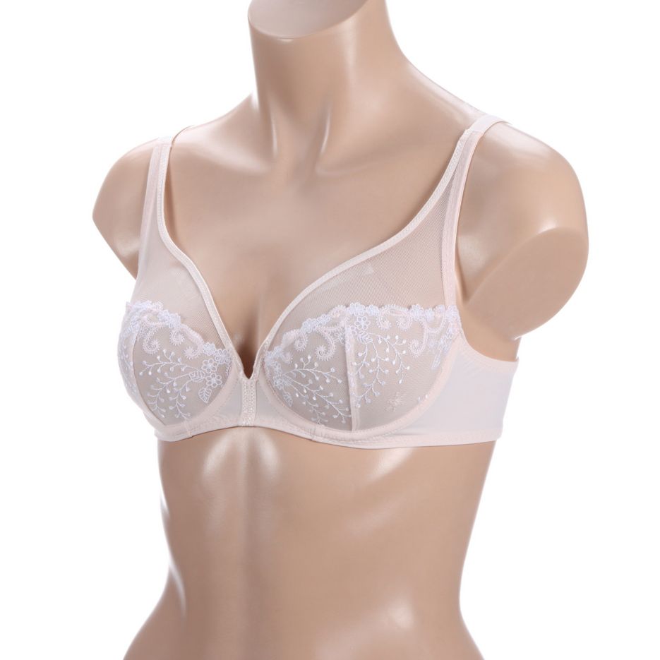 Delice Sheer Plunge Bra