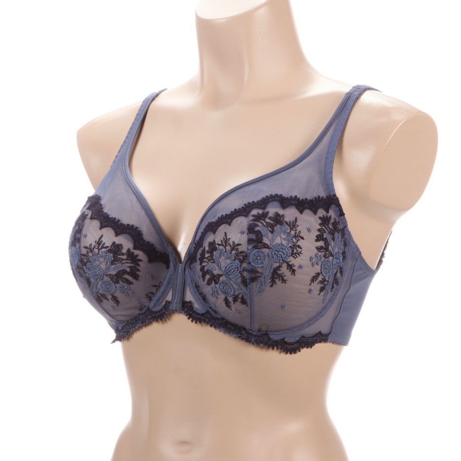 Intrigue Sheer Plunge Bra