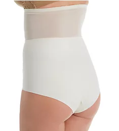 Sheer Allure High Waist Shaping Brief Panty