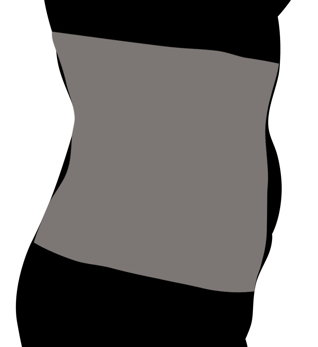 TC Fine Intimates Sleek Shaping Step In Waist Cincher 4144 - Image 4