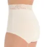 Teri Grace Lace Trim Microfiber Brief Panty 313 - Image 2