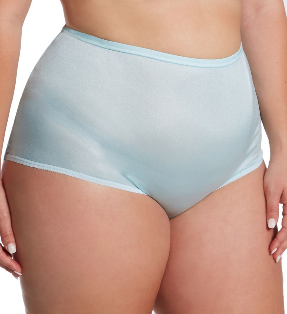 Comfort Choice Women's Plus Size Nylon Brief 5-Pack Underwear 