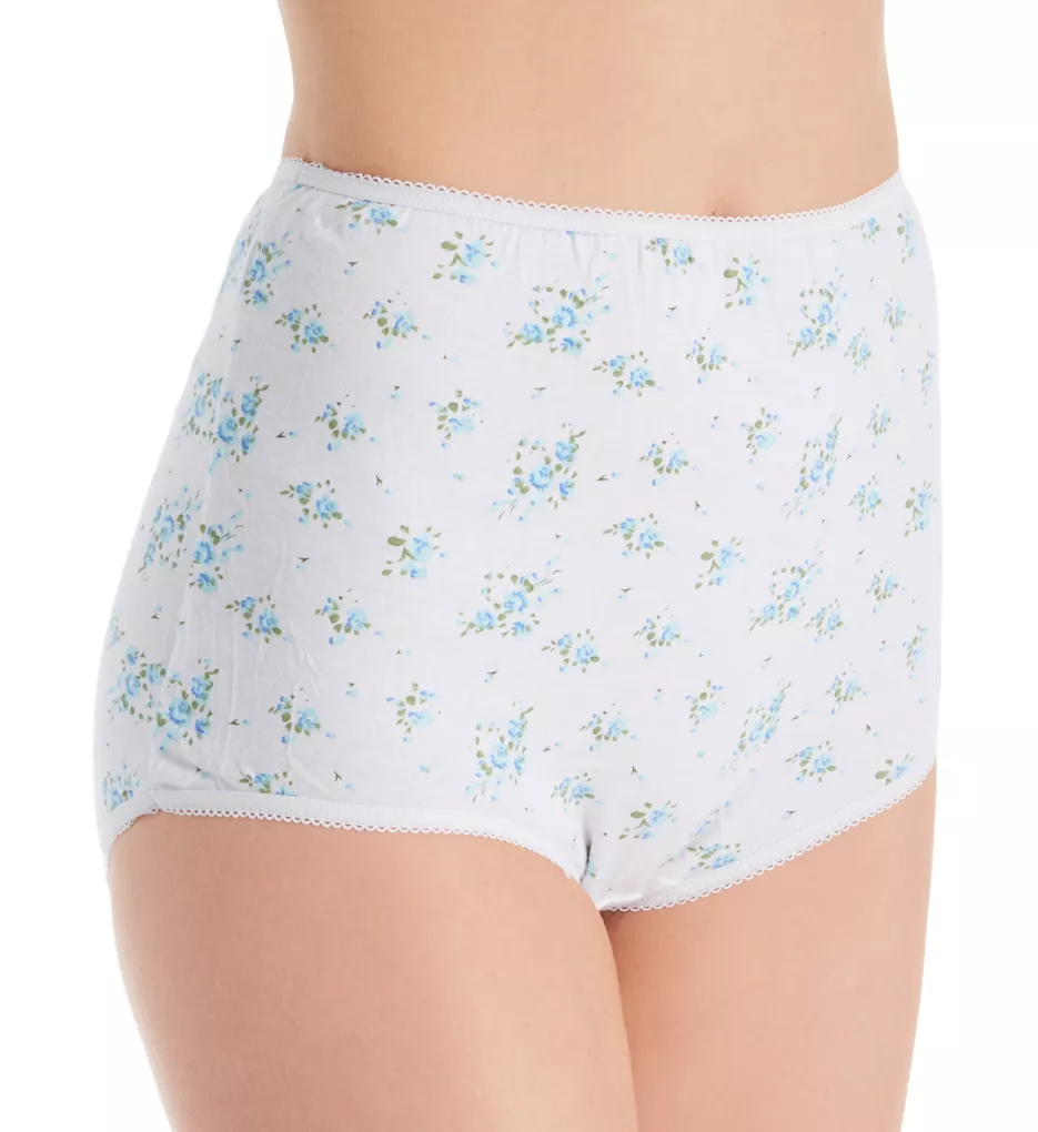 Teri Women's Full Cut Nylon Brief Panty - 4 Pack 331, White, 5 at   Women's Clothing store: Briefs Underwear