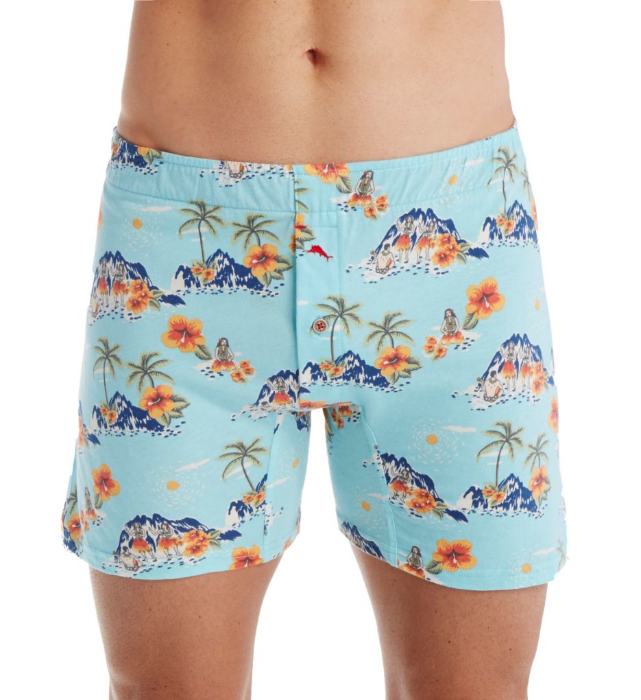 Island Print Cotton Modal Jersey Boxer Brief-fs