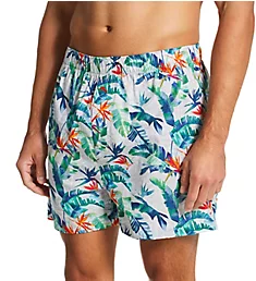 Cotton Printed Woven Boxer Grey Leaves S