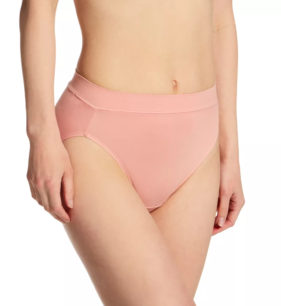 Carole Hochman Women's Underwear Silky Soft Seamless Full Coverage Modern  Brief Panties 5 Pack Multipack Regular & Plus Sizes