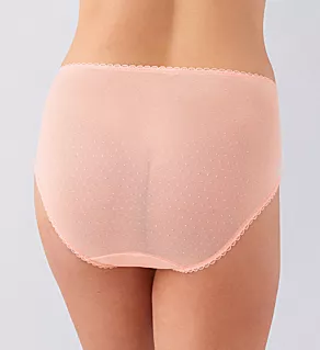 Retro Chic Brief Panty Apricot Blush 2X