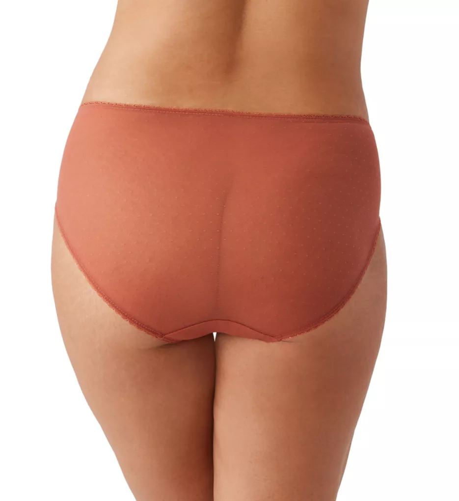 Retro Chic Brief Panty Chutney S