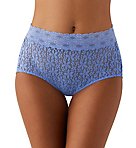 Halo Lace Full Brief Panty