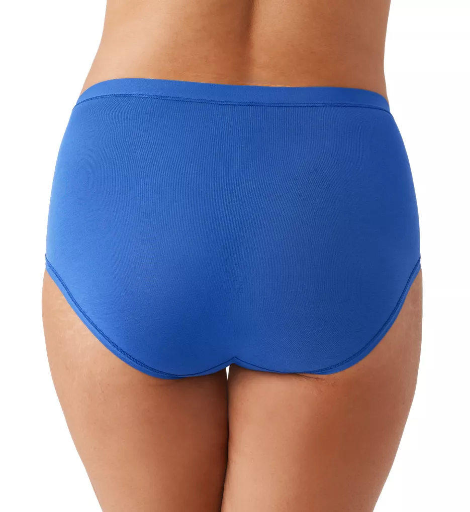 Understated Cotton Brief Panty Beaucoup Blue 3X