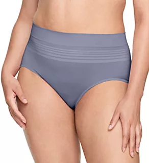 No Pinching. No Problems. Seamless Brief Panty Silver 2X