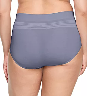 No Pinching. No Problems. Seamless Brief Panty Silver 2X