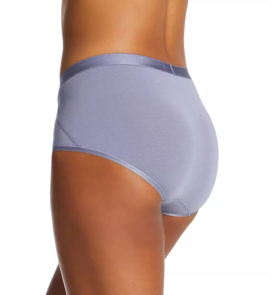 Women's Warner's RS1501P No Pinching. No Problems. Seamless Brief Panty  (Artic Ice M) 