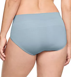 No Pinching. No Problems. Seamless Hipster Panty Sky 2X