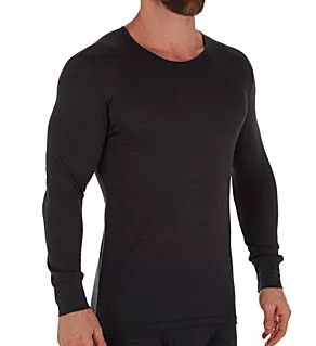 Wool & Silk Blend Long Sleeve T-Shirt CHAR L